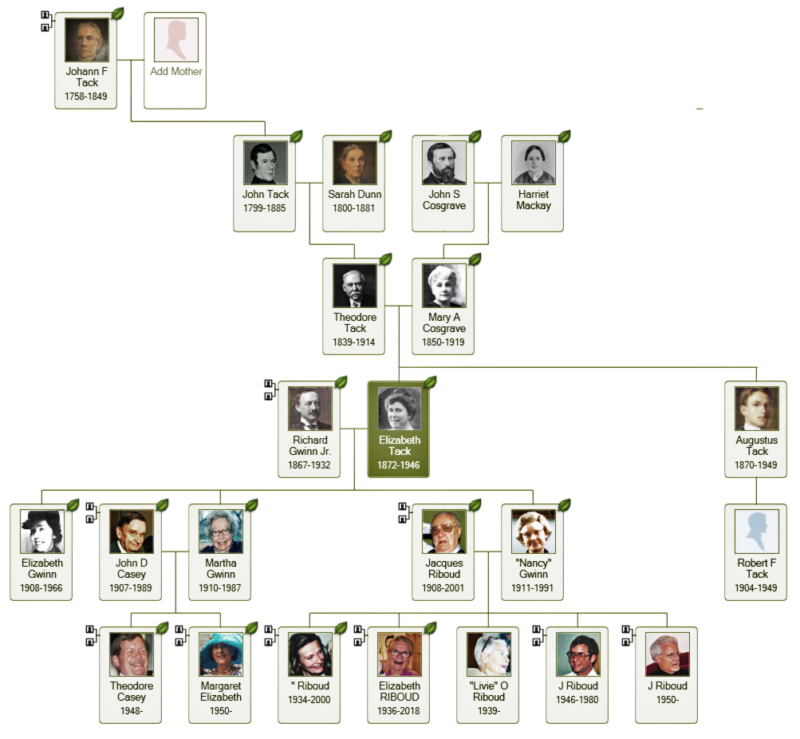 Tack Family Tree - William J. Bowe