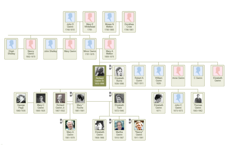 Gwinn Family Tree - William J. Bowe