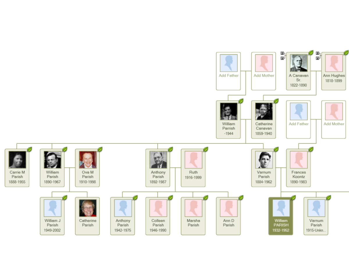 Skura and Grubert Family Trees - William J. Bowe