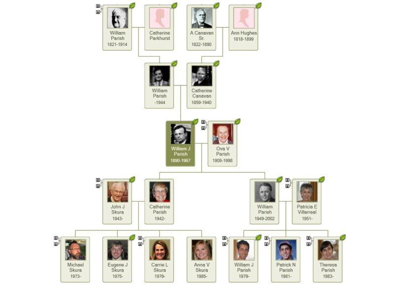 Parish Family Tree - William J. Bowe