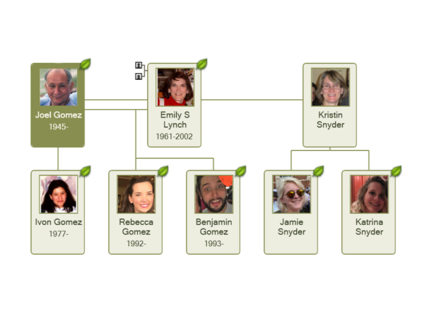 John Gibbons Lynch and Roberta Wyman Lynch Trees - Bowe Family