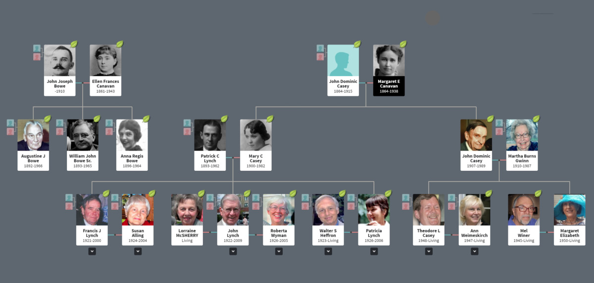 Casey & Danielak Family Trees - William J. Bowe