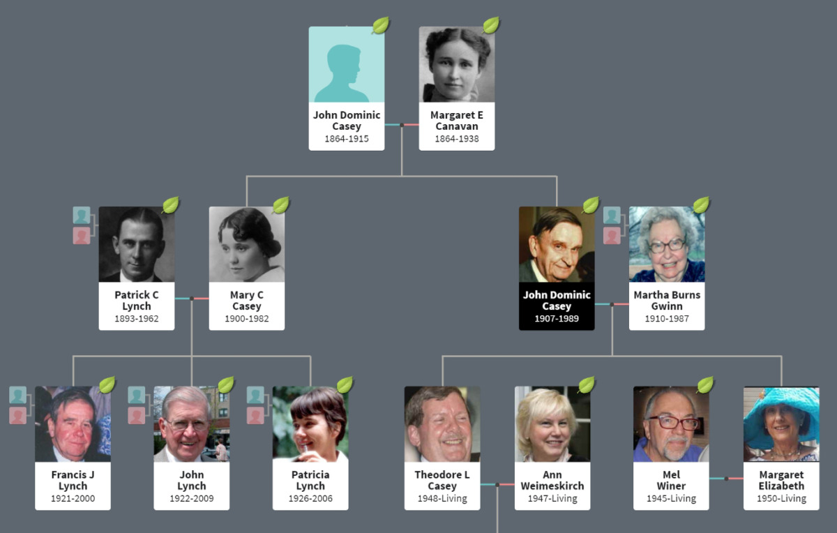 Lynch Related Family Trees - William J. Bowe