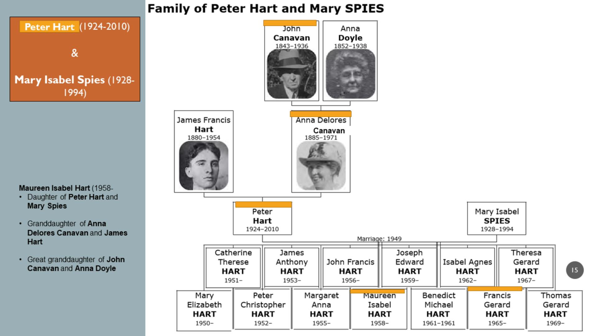 Peter Hart - Mary Spies Tree