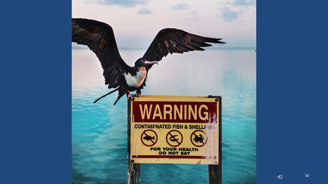 Diapositive 30 : Panneau d’avertissement : poissons et coquillages contaminés
